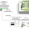 Arbeitskartei Großer Rechenrahmen