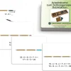 Arbeitskartei Schlangenspiel Subtraktion