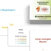 Arbeitskartei zum Satzstern
