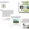Arbeitskartei zur Monatskette (DOWNLOAD)