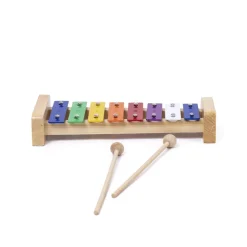 Glockenspiel für Kinder - Xylophon mit Liedern zum Üben