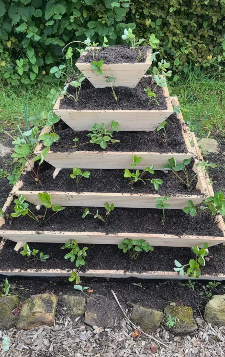 Große Pflanzpyramide aus Holz - ideal als Erdbeerpyramide und Kräuterpyramide