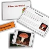 Legematerial - Pilze des Waldes (DOWNLOAD)