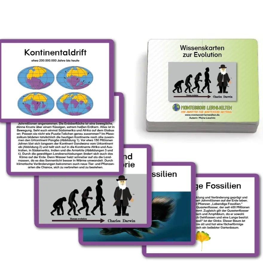 Legematerial zur Erdzeitalterkette
