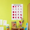 Lernposter Die Bruchzahlen (DOWNLOAD)
