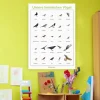 Lernposter Unsere heimischen Vögel (DOWNLOAD)