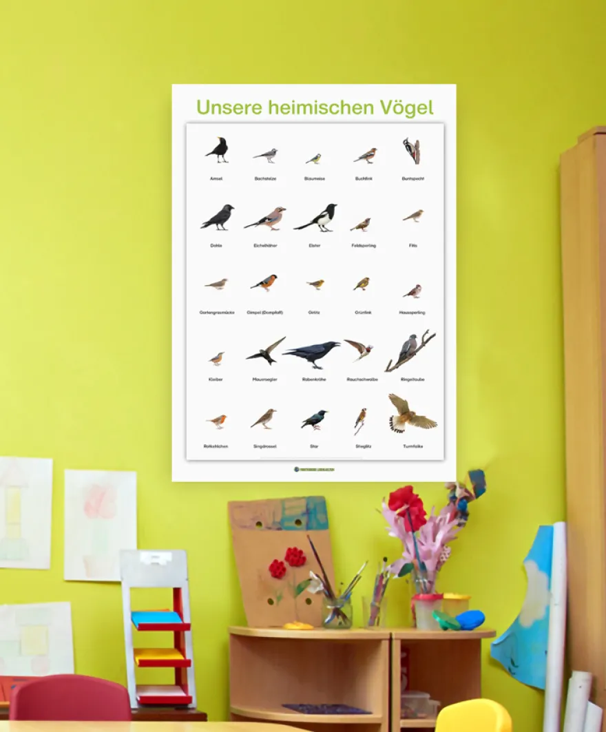 Lernposter Unsere heimischen Vögel (DOWNLOAD)
