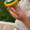 Lupenbecher - Insekten tierfreundlich beobachten