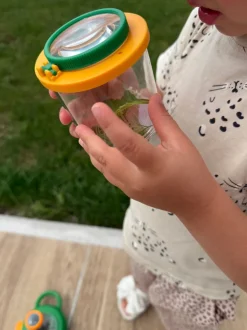 Lupenbecher - Insekten tierfreundlich beobachten
